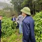 Giải ngân dự án " Mở rộng vùng trồng cây dược liệu" tại xã Lương Sơn, huyện Thường Xuân, tỉnh Thanh Hóa